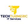 Tech turmeric IT services logo